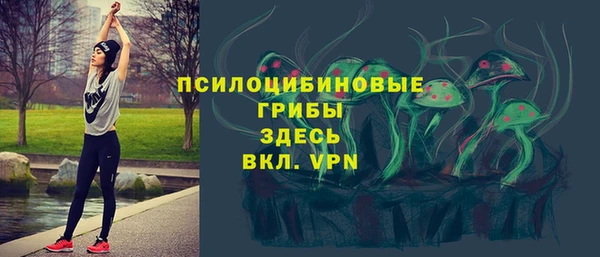 скорость Лагань