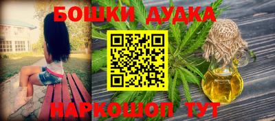 индика Гагарин