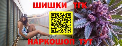 индика Гагарин