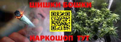 индика Гагарин