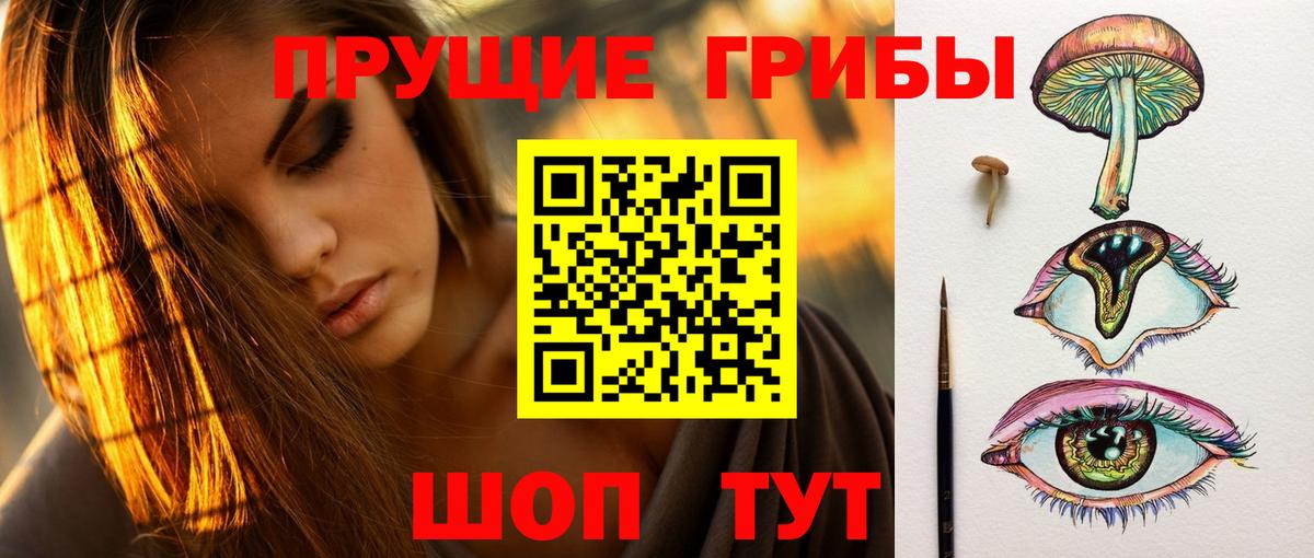 Звенигород  Псилоцибиновые грибы Cubensis  как найти наркотики  Галлюциногенные грибы ЛСД  Вход с VPN 
