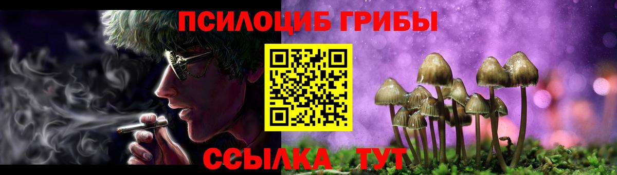 Псилоцибиновые грибы Cubensis Звенигород